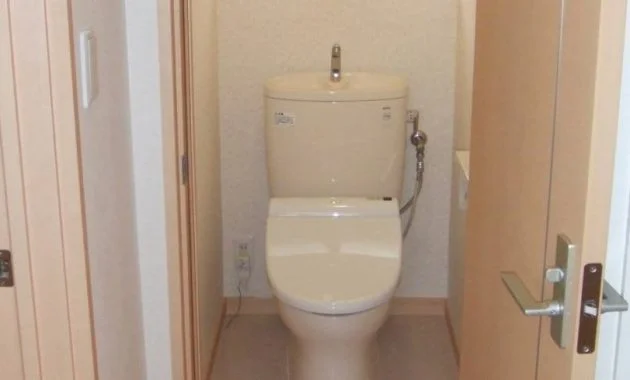 sedot wc rekomendasi